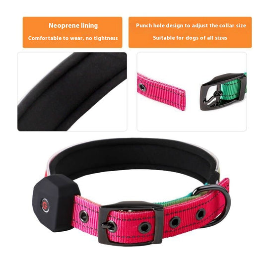 Collar Luminoso USB para Perros con Banda Reflectante y Impresión LED - Image 4