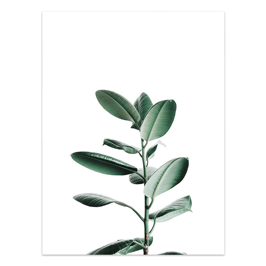 Póster de Plantas Tropicales Estilo Nórdico - Lámina de Hojas Verdes - Image 24