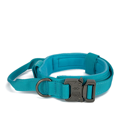 Collar Ajustable para Perro con Cierre Rápido de Entrenamiento - Image 11