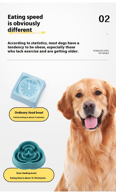 Comedero Lento Antiasfixia para Perros con Base Antideslizante - Image 21