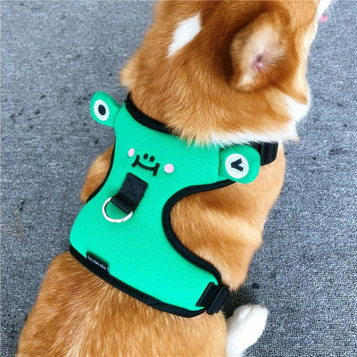 Arnés de Paseo para Perro Pequeño con Chaleco y Cuerda de Tracción - Image 9