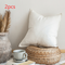 Beige 2 Piezas Pillowcase 55 X 55 Cm