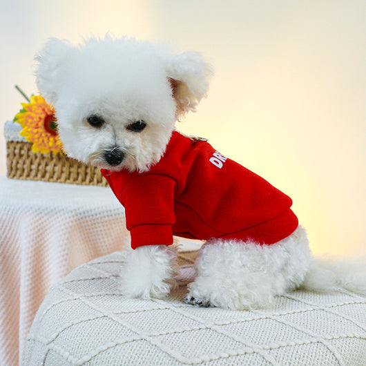 Suéter Antideslizante para Perros y Gatos - Image 13