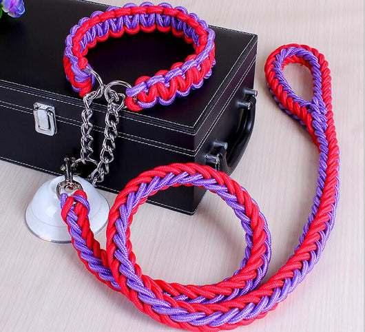 Collar para Perro Resistente y Cómodo - Image 8