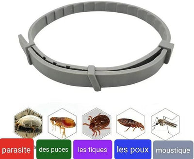 AICONSTO small dog insect repellent collar, gray, offering 8-month protection against fleas, ticks, lice, and flea larvae. - Image 15