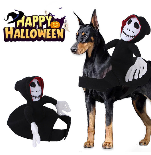 Disfraz Divertido para Mascotas Halloween - Chaleco Araña y Calabaza
