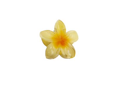Pasadores Florales de Huevo Coloridos para Mujeres - Image 18