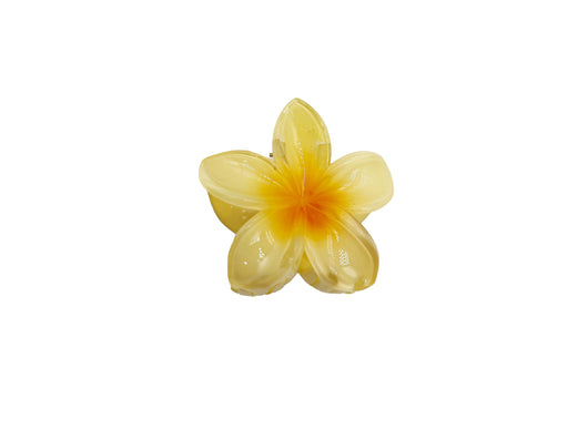Pasadores Florales de Huevo Coloridos para Mujeres - Image 18