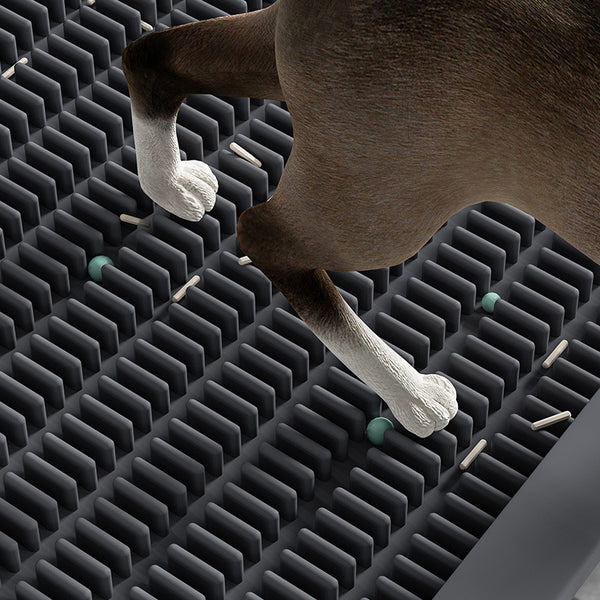 Arenero para Gatos con Pedal y Tapete Absorbente