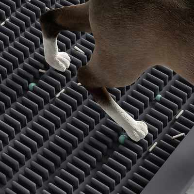 Arenero para Gatos con Pedal y Tapete Absorbente - Image 2