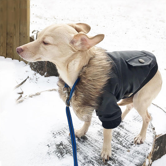 Abrigo de Cuero con Cuello de Piel para Perros - Otoño e Invierno