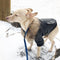Abrigo de Cuero con Cuello de Piel para Perros - Otoño e Invierno