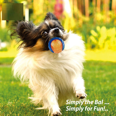 GiGwi Rugby dog toy in blue and orange, a small squeaky, bouncing, and floating rubber toy for outdoor play. - Image 3