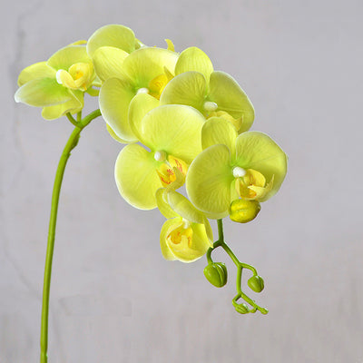 Orquídea Phalaenopsis Artificial de Piso - Flor Decorativa en Seda - Image 2