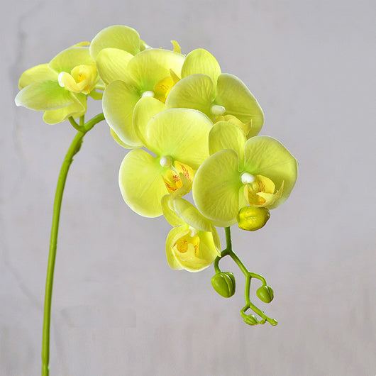 Orquídea Phalaenopsis Artificial de Piso - Flor Decorativa en Seda - Image 2