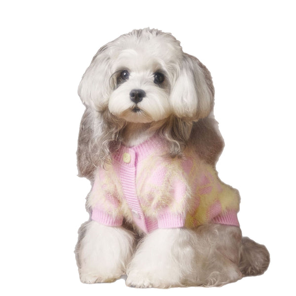 Suéter Cardigan Adorable para Perros Schnauzer y Bichón