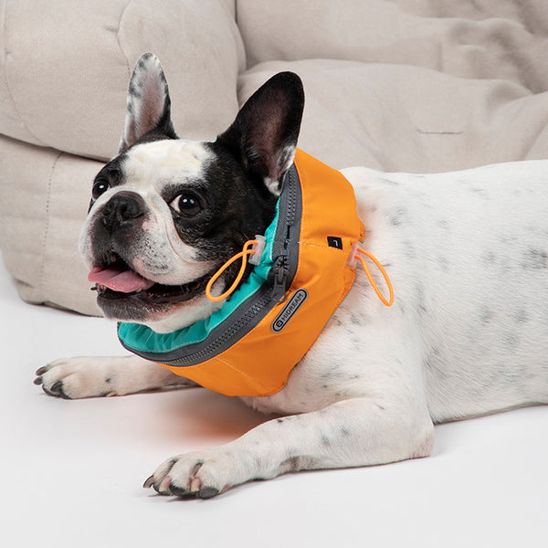 Pañuelo Refrescante para Perros - Tecnología de Enfriamiento Portátil