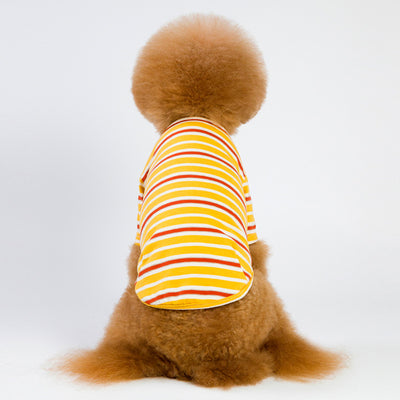 Playera a Rayas para Perro - Image 7