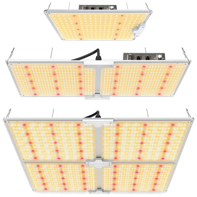Lámpara de Cultivo ETL Mingwei LM301B Quantum Edition - Fuente de Poder Certificada