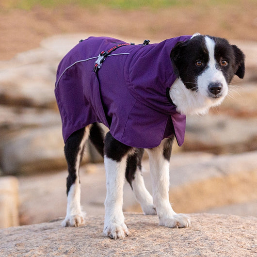 Abrigo Acolchado para Perros - Impermeable y Cálido para Otoño e Invierno - Image 5