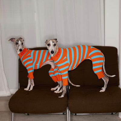 Suéter Elástico para Mascotas con Contraste de Colores