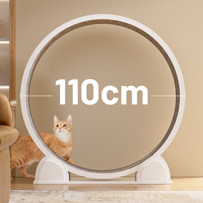 Caminadora Inteligente para Gatos con Pantalla Interactiva - Image 4