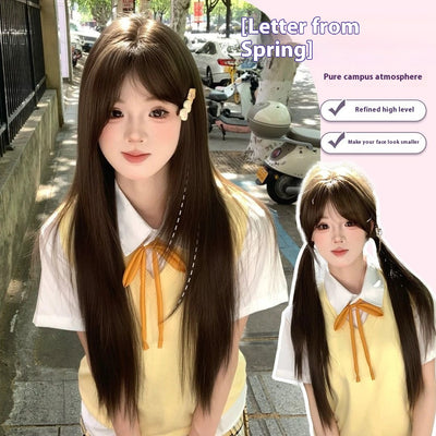 Peluca Larga Recta Reparación Total - Cobertura Completa Cabello Natural