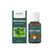 15 Ml