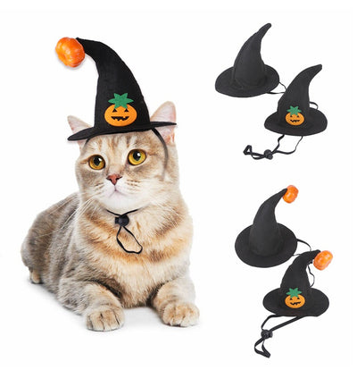 Sombrero de Calabaza Halloween para Gatos - Image 12