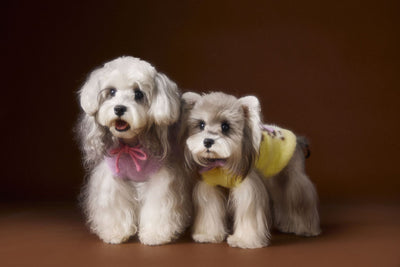 Chaleco Sudadera con Capucha y Estampado de Perrito - Image 18