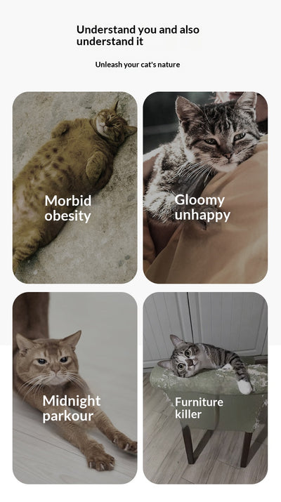 Caminadora Inteligente para Gatos con Pantalla Interactiva - Image 8