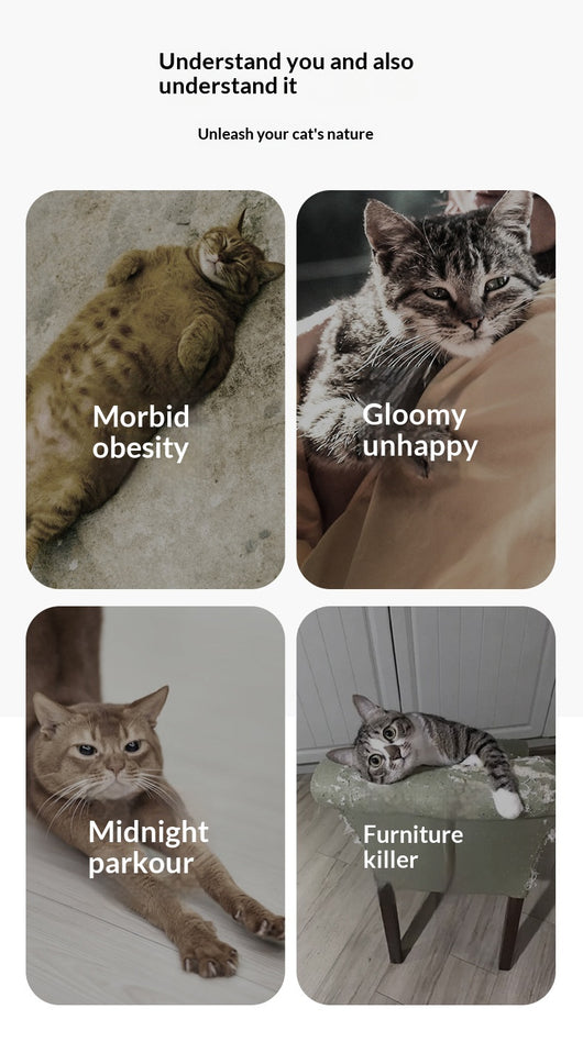 Caminadora Inteligente para Gatos con Pantalla Interactiva - Image 8