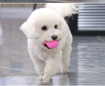 Juguete de Látex para Perros Pequeños y Medianos con Sonido - Huevo Multicolor - Image 8