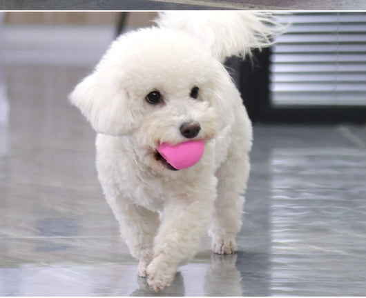 Juguete de Látex para Perros Pequeños y Medianos con Sonido - Huevo Multicolor - Image 8