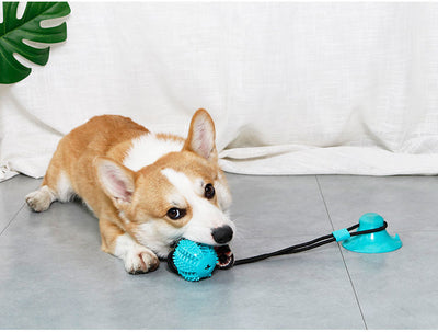 Green dog toy with a suction cup base and a textured ball on a black cord, designed for food dispensing and teeth cleaning. - Image 9