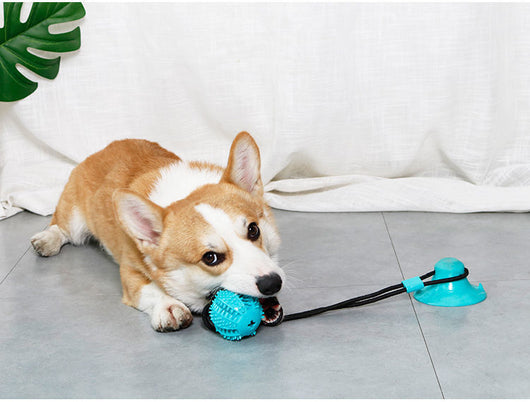 Green dog toy with a suction cup base and a textured ball on a black cord, designed for food dispensing and teeth cleaning. - Image 9