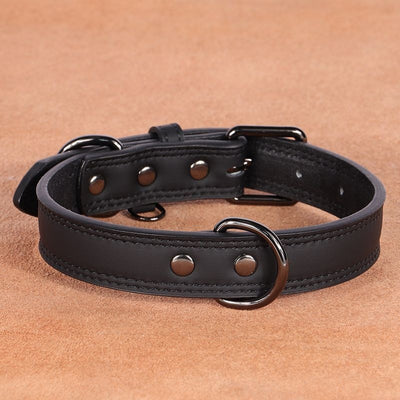 Teal leather pet collar with white stitching, dark metal buckle, and D-ring, displayed on a brown surface. - Image 7