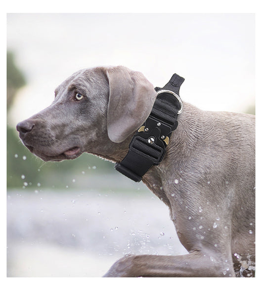 Collar Táctico Antiexplosión para Perros - Image 18