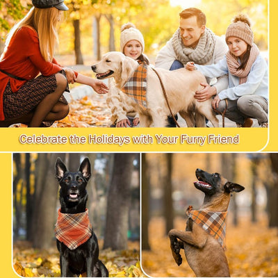 Pañuelo Clásico a Cuadros para Perro con Borlas - Accesorio Elegante para Otoño - Image 10