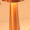 Dorado Bronze Tipo A Charging Three Colors