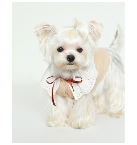 Chaleco Floral con Moño para Mascotas - Ropa Elegante y Cómoda - Image 12
