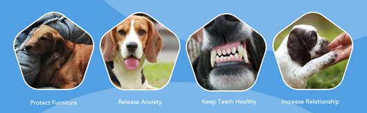 Juguete de Pulpo Chirriante para Perros - Juguete de Goma sin Relleno para Masticación y Dentición - Image 19