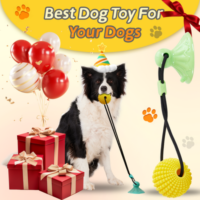 Juguete Masticable de Maíz con Ventosa - Juego Interactivo de Tracción para Perros Medianos y Grandes - Image 9