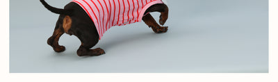 Chaleco sin Mangas para Perro Pequeño Rayas Rojo - Image 20
