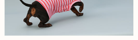 Chaleco sin Mangas para Perro Pequeño Rayas Rojo - Image 20