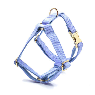 Chaleco Reflectante para Perros con Diseño Láser - Image 26
