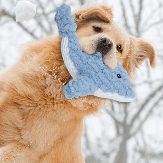 Juguete para Perros Resistente de Peluche - Mordedor Chirriante con Forma de Animales - Image 4