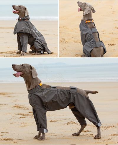 Poncho Impermeable para Perros Medianos y Grandes - Image 10
