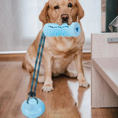 Juguete Interactivo Dispensador de Comida con Ventosa para Perros Masticadores - Image 17