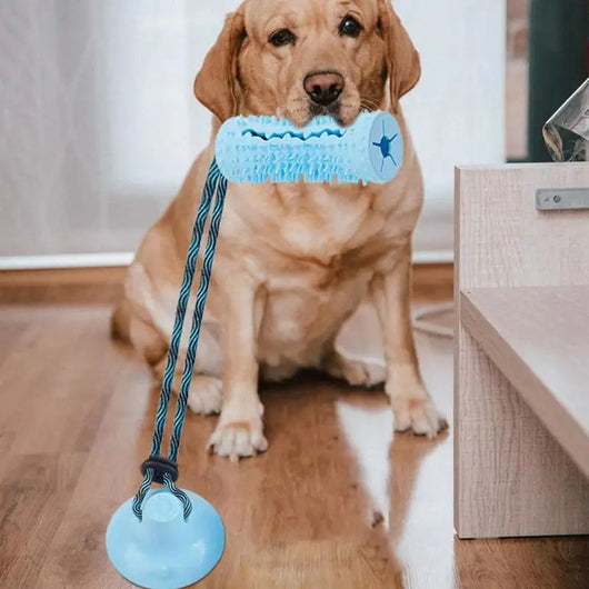 Juguete Interactivo Dispensador de Comida con Ventosa para Perros Masticadores - Image 17